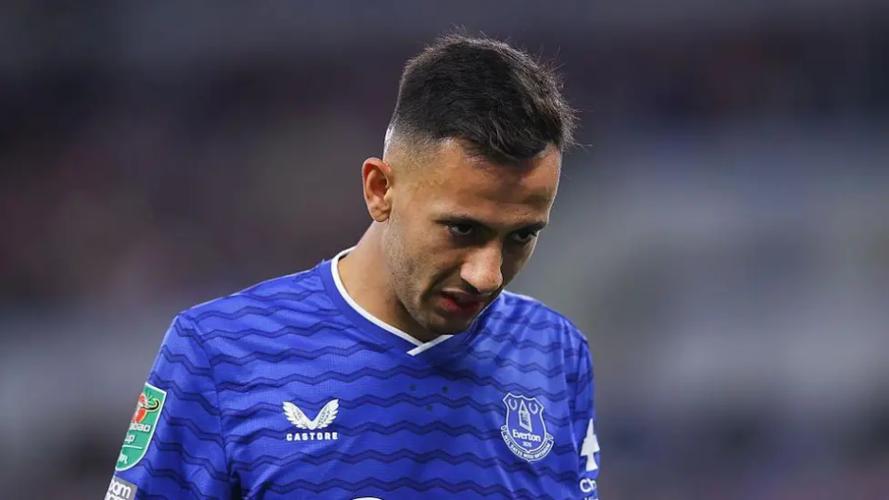 天空体育证实水晶宫压哨报价埃弗顿边锋麦克尼尔