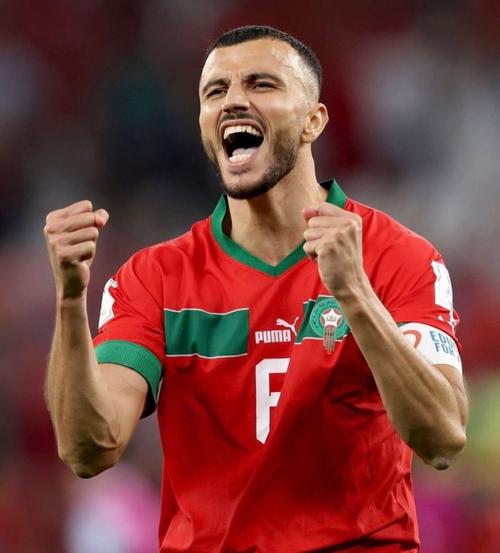 摩洛哥足球旗帜罗曼·赛斯告别国家队，誓言永作球队球迷
