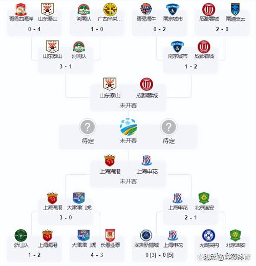 李磊透露足协杯夺冠后落泪原因,并透露伤情恢复时间表