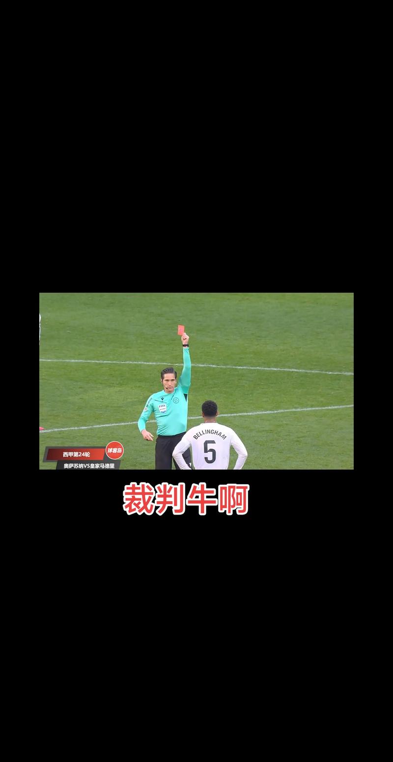 法尔克终场哨响后闯入球场 遭主裁判出示红牌