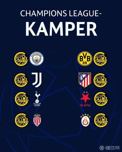 欧冠赛场分析:博德闪耀CEO否认人造草带来主场优势